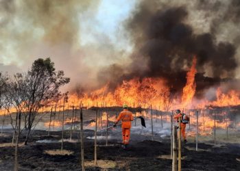 O 3º Pelotão de Bombeiros Militar de São Lourenço combate 75 focos de incêndios florestais durante o mês de agosto