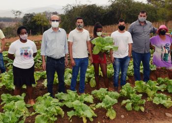 Implantação de horta comunitária visa melhorar alimentação e renda das famílias