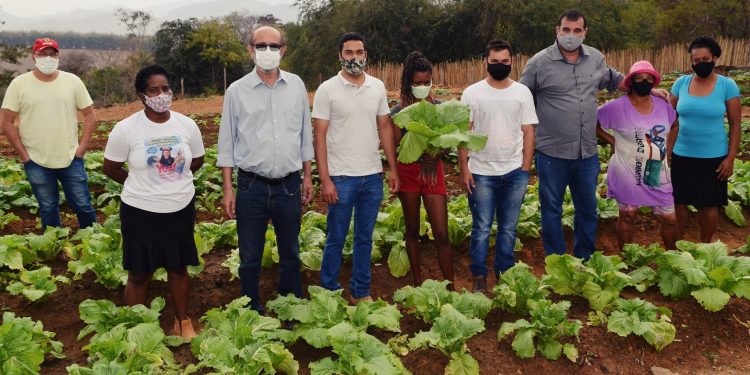 Implantação de horta comunitária visa melhorar alimentação e renda das famílias