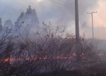 Ocorrências na rede elétrica causadas por queimadas quase dobram em 2021