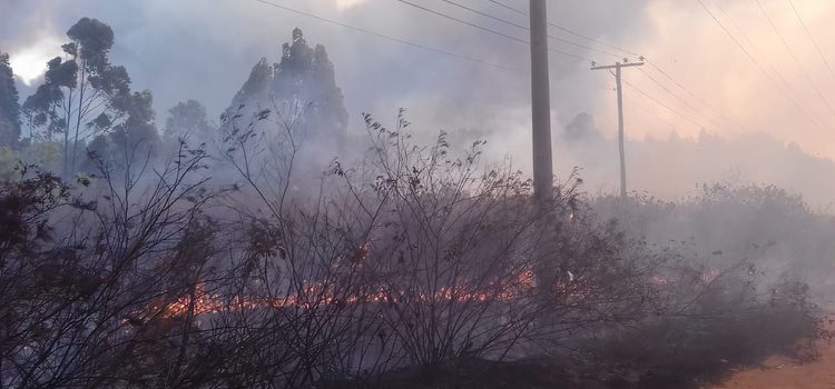 Ocorrências na rede elétrica causadas por queimadas quase dobram em 2021