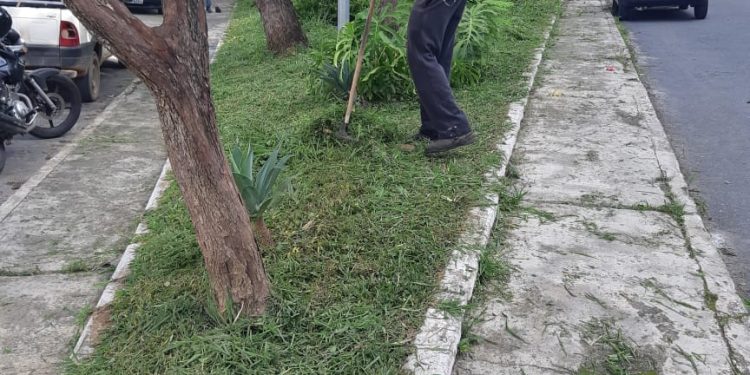 Serviço de capina e limpeza da Praça do Buraquinho, no Tejuco, em São João del Rei MG