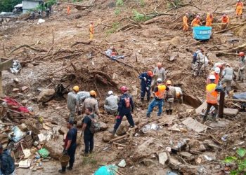 Bombeiros de Minas e cães da corporação ajudam a localizar três vítimas em Petrópolis