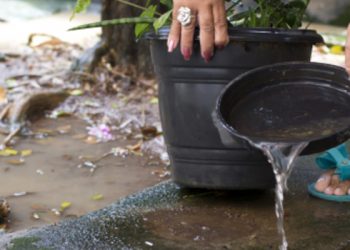 Governo repassa R$ 40 mi para combate ao mosquito da dengue nos municípios