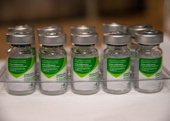 Campanha de vacinação da gripe começa na segunda-feira (4/4)