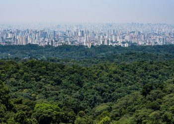 Concluída fase de capacitações para elaboração do Plano Estadual de Ação Climática