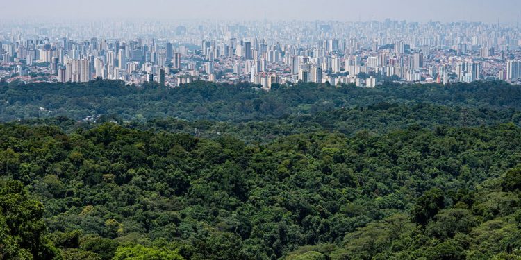 Concluída fase de capacitações para elaboração do Plano Estadual de Ação Climática