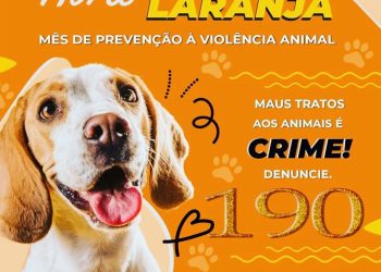 ABRIL LARANJA