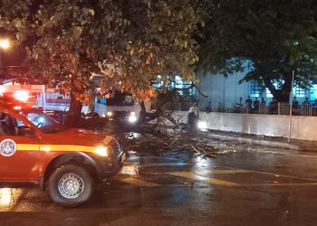 Bombeiros realizam corte de árvores derrubadas durante as fortes chuvas desta quinta-feira