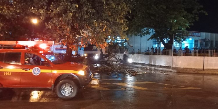 Bombeiros realizam corte de árvores derrubadas durante as fortes chuvas desta quinta-feira