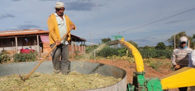 Emater-MG orienta agricultores familiares sobre tecnologia de conservação de forragem