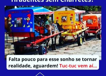 Informativo da Vereadora Mara protetora dos animais