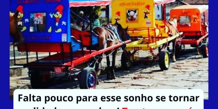 Informativo da Vereadora Mara protetora dos animais