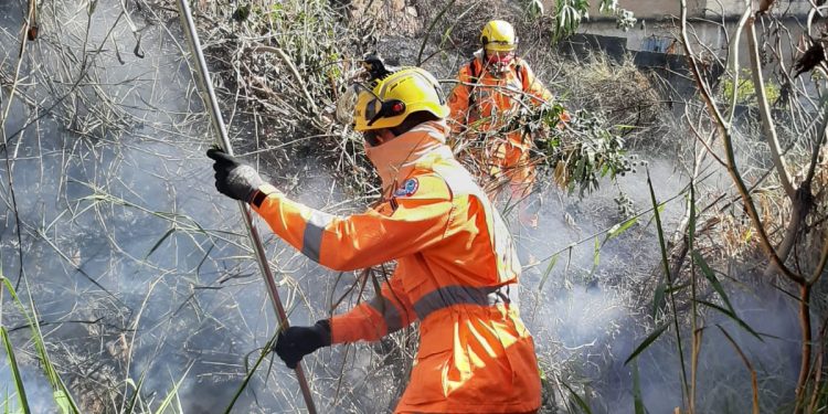Bombeiros combatem incêndio em vegetação próximo à residências
