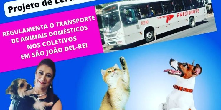 Informativo da Vereadora Mara protetora dos animais