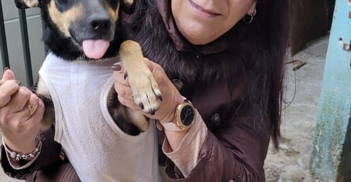 Informativo da Vereadora Mara protetora dos animais