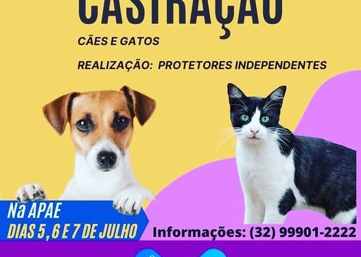 Informativo da Vereadora Mara Protetora dos Animais