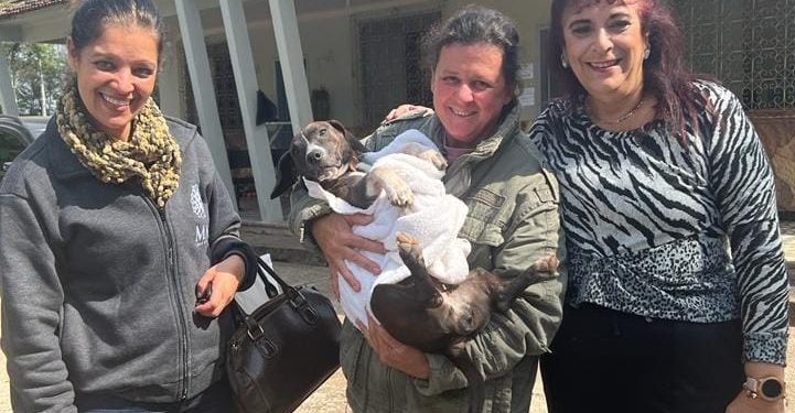Informativo da Vereadora Mara protetora dos animais
