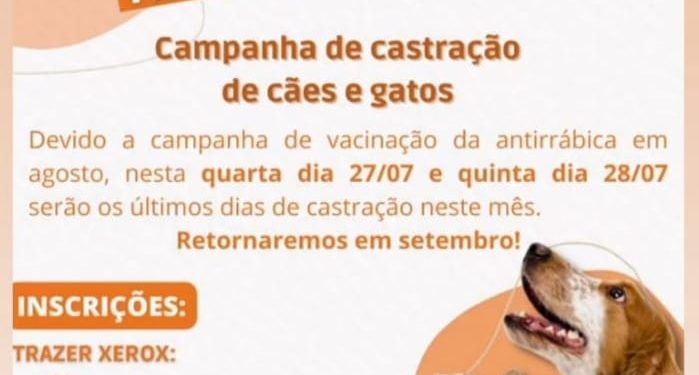 INFORMATIVO DA VEREADORA MARA PROTETORA DOS ANIMAIS