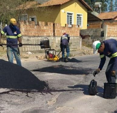 Informativo da Vereadora Mara Protetora dos Animais