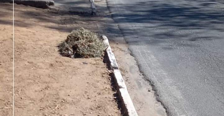 Limpeza nas ruas de Barbacena
