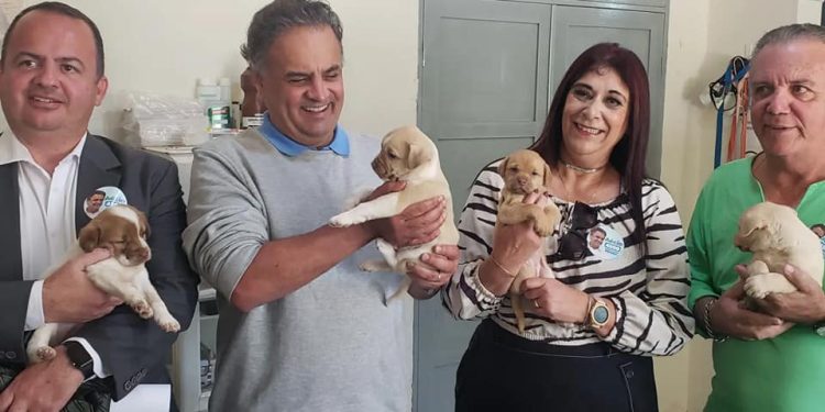 Informativo da Vereadora Mara Protetora dos Animais