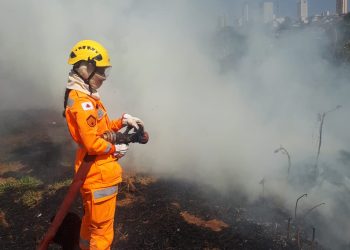 INCÊNDIO EM VEGETAÇÃO