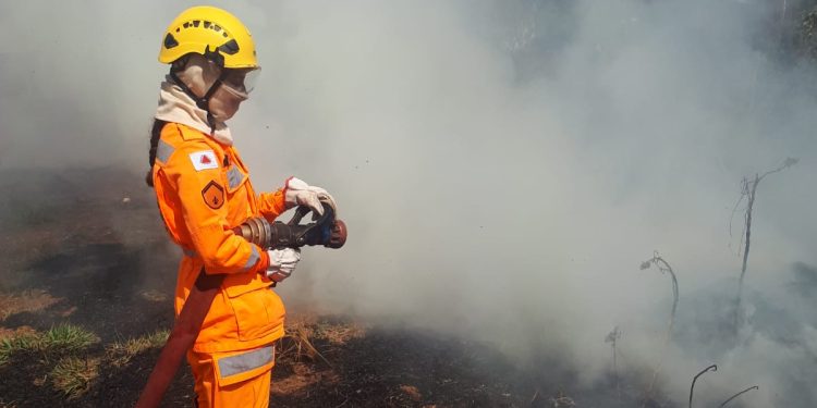 INCÊNDIO EM VEGETAÇÃO