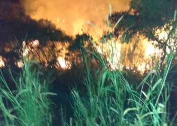Bombeiros combatem incêndio em área urbana não protegida em Doutor Sá Fortes