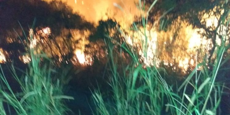 Bombeiros combatem incêndio em área urbana não protegida em Doutor Sá Fortes
