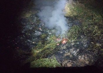 Bombeiros de Barbacena combatem grande incêndio em vegetação no bairro Monte Mario