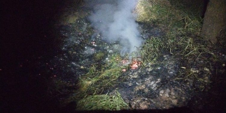 Bombeiros de Barbacena combatem grande incêndio em vegetação no bairro Monte Mario