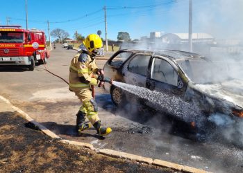 INCÊNDIO EM VEÍCULO