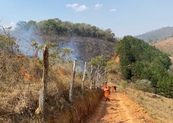 Bombeiros combatem incêndio em vegetação em Sá Fortes