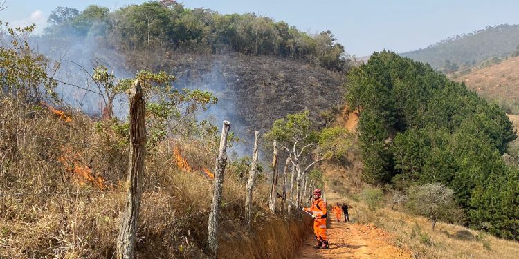 Bombeiros combatem incêndio em vegetação em Sá Fortes
