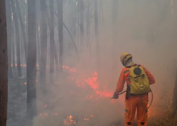 INCÊNDIO EM VEGETAÇÃO
