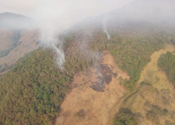 Incêndio Florestal no Parque Estadual da Serra do Papagaio mobiliza Corpo de Bombeiros Militar, Polícia Militar e Brigadistas Florestais.