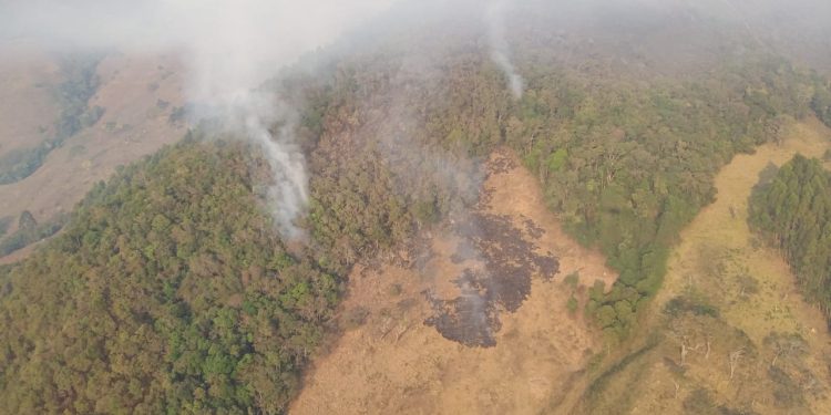 Incêndio Florestal no Parque Estadual da Serra do Papagaio mobiliza Corpo de Bombeiros Militar, Polícia Militar e Brigadistas Florestais.