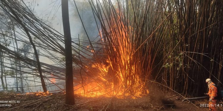 Bombeiros combatem dois incêndios em vegetação em Tiradentes