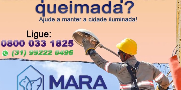Informativo da Vereadora Mara Protetora dos animais