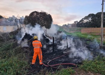 Bombeiros combatem cinco grandes incêndios em vegetação na tarde desse domingo