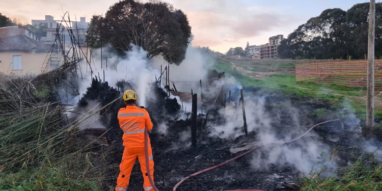 Bombeiros combatem cinco grandes incêndios em vegetação na tarde desse domingo