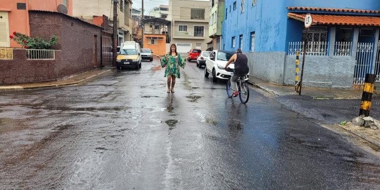 Informativo da Vereadora Mara Protetora dos Animais