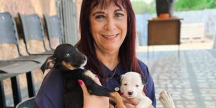 ENTREVISTA COM A VEREADORA MARA PROTETORA DOS ANIMAIS