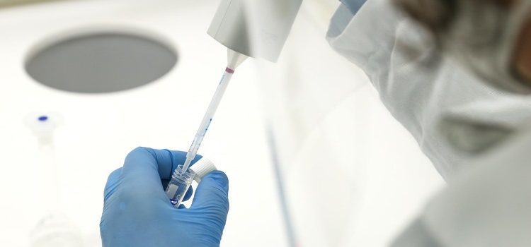 Governo de Minas eleva o valor das bolsas de pesquisa
