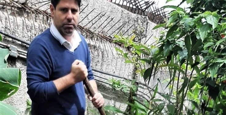 Aprenda a usar borra de café e casca de ovo para fazer adubo