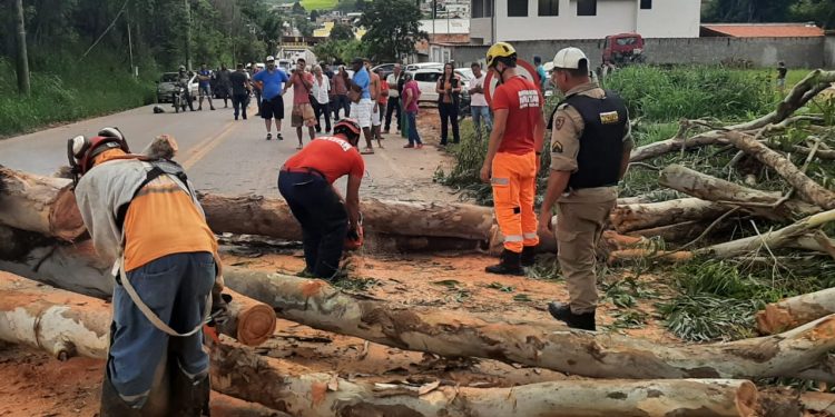 Bombeiros realizam desobstrução da rodovia MG 135, no bairro Aeroporto