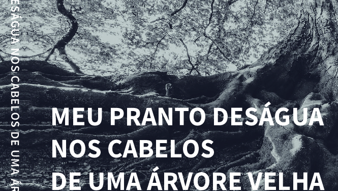 Ex-professora da UFSJ lança livro de poemas neste sábado, 4