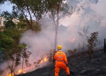 Bombeiros Militares combatem incêndio em vegetação no bairro Cachoeira