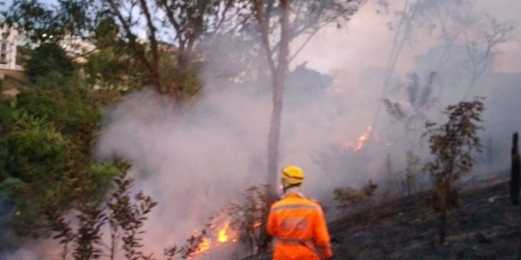 Bombeiros Militares combatem incêndio em vegetação no bairro Cachoeira